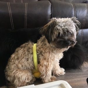 Meet your Posher, OcÃ©ane